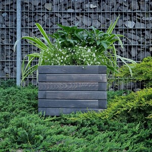 May include: A dark gray wooden planter box with a variety of green plants growing inside. The planter is sitting on a bed of green foliage.