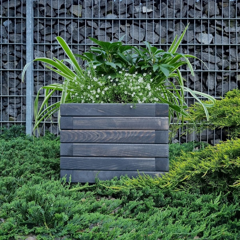 May include: A dark gray wooden planter box with a variety of green plants growing inside. The planter is sitting on a bed of green foliage.