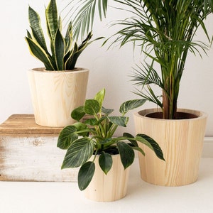 Holz Blumentopf 3er Set, natürliche Töpfe für Pflanzen, Pflanzenhalter für Boho Home