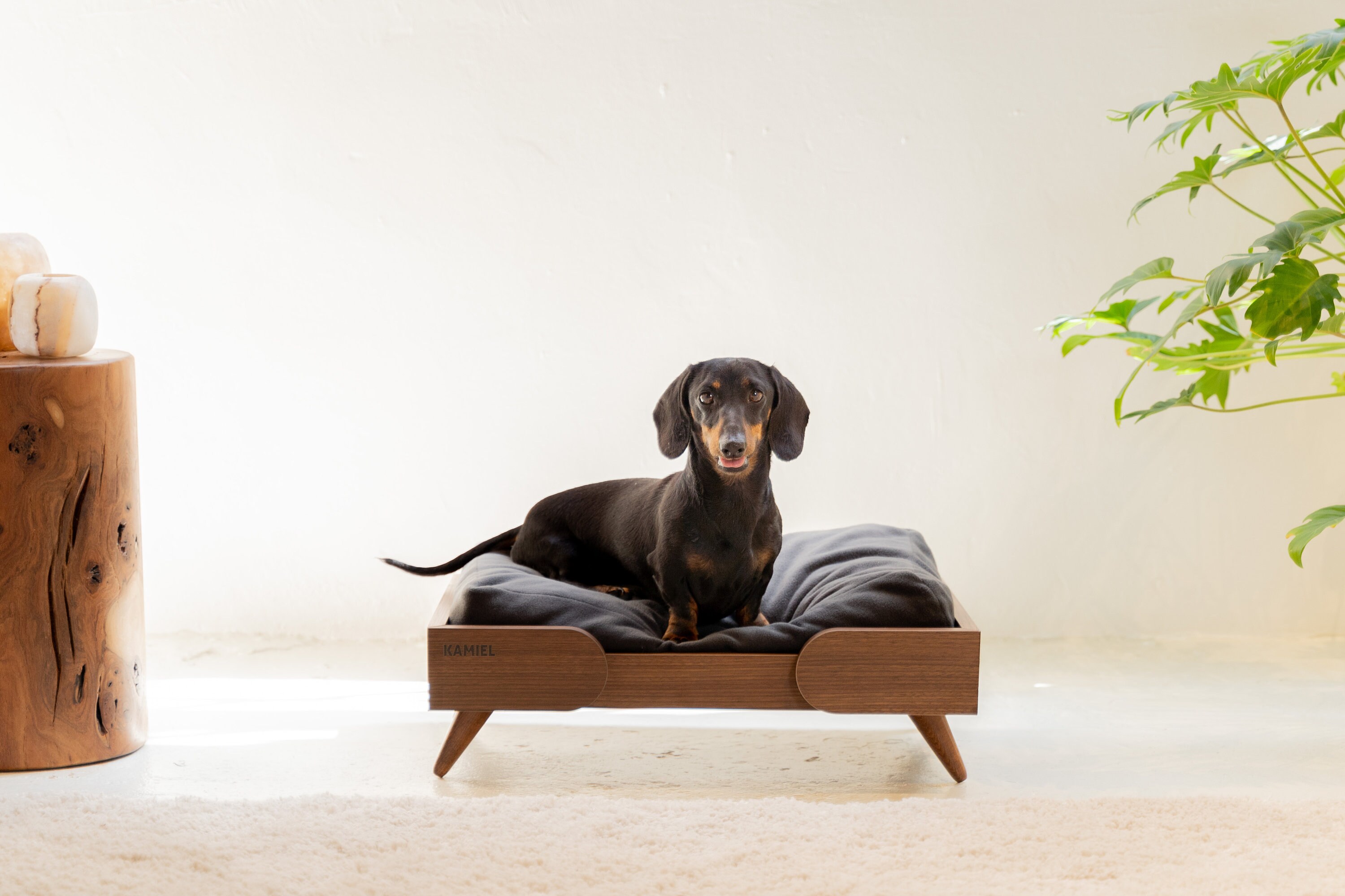 Panier pour chien en bois recyclé