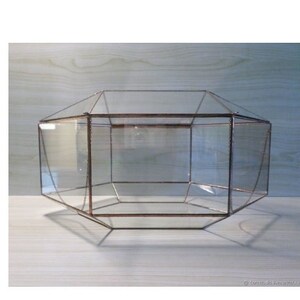Digital drawing for printing! Stained glass terrarium. Project 27