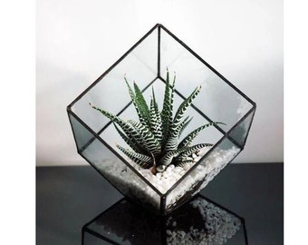 Digital drawing for printing! Stained glass terrarium. Project 7