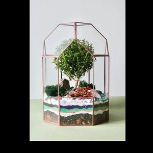 Digital drawing for printing! Stained glass terrarium. Project 189 (XL)