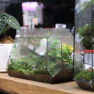 Dibujo digital para imprimir. Terrario de vitral. Proyecto 298.