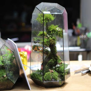 Digital drawing for printing! Stained glass terrarium. Project 47 (S)