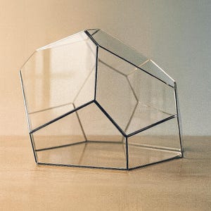 Digitale tekening om af te drukken! Gebrandschilderd glasterrarium. Project 330