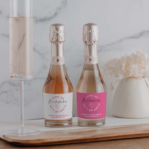 COME ON BARB Mini Weinetikett Vorlage, Babe und Braut Mini Weinetikett Vorlage, Babe und Braut Wein Digitaletiketten, Bachelorette Wochenende