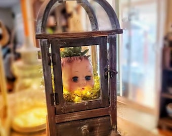 Succulent Baby Doll Apothecary