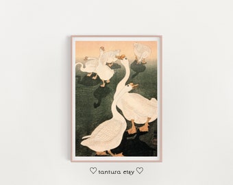 May include: Framed art print featuring a vintage illustration of white geese. The artwork depicts several geese with their necks arched, set against a backdrop of green and orange hues. The print is in a pink frame.