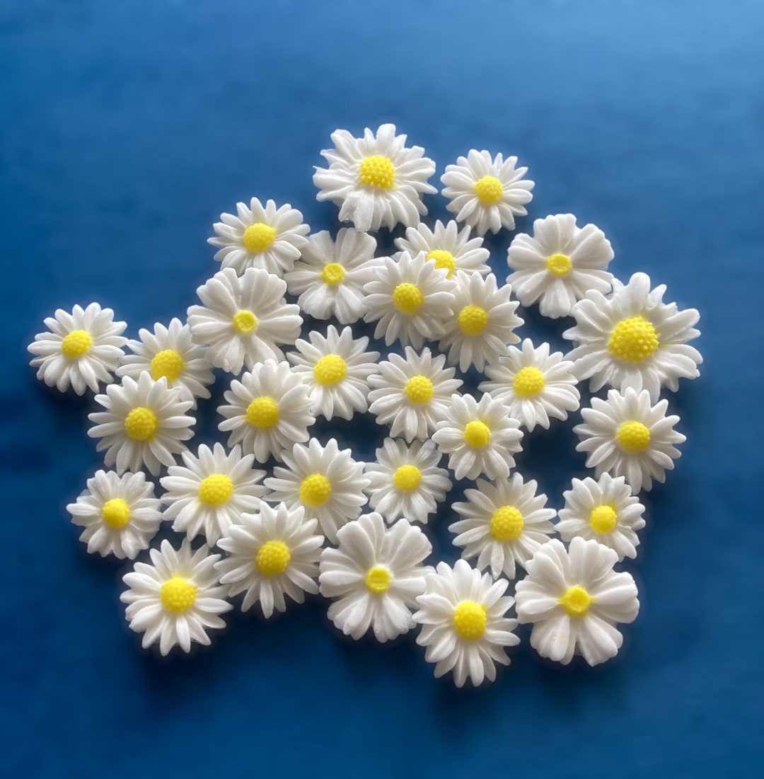 30 X White With Yellow Edible Flowers Sugarpaste Decoration Etsy UK