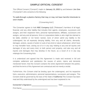 Editable Customer Consent Form: Official Approval Template (Digital Download)