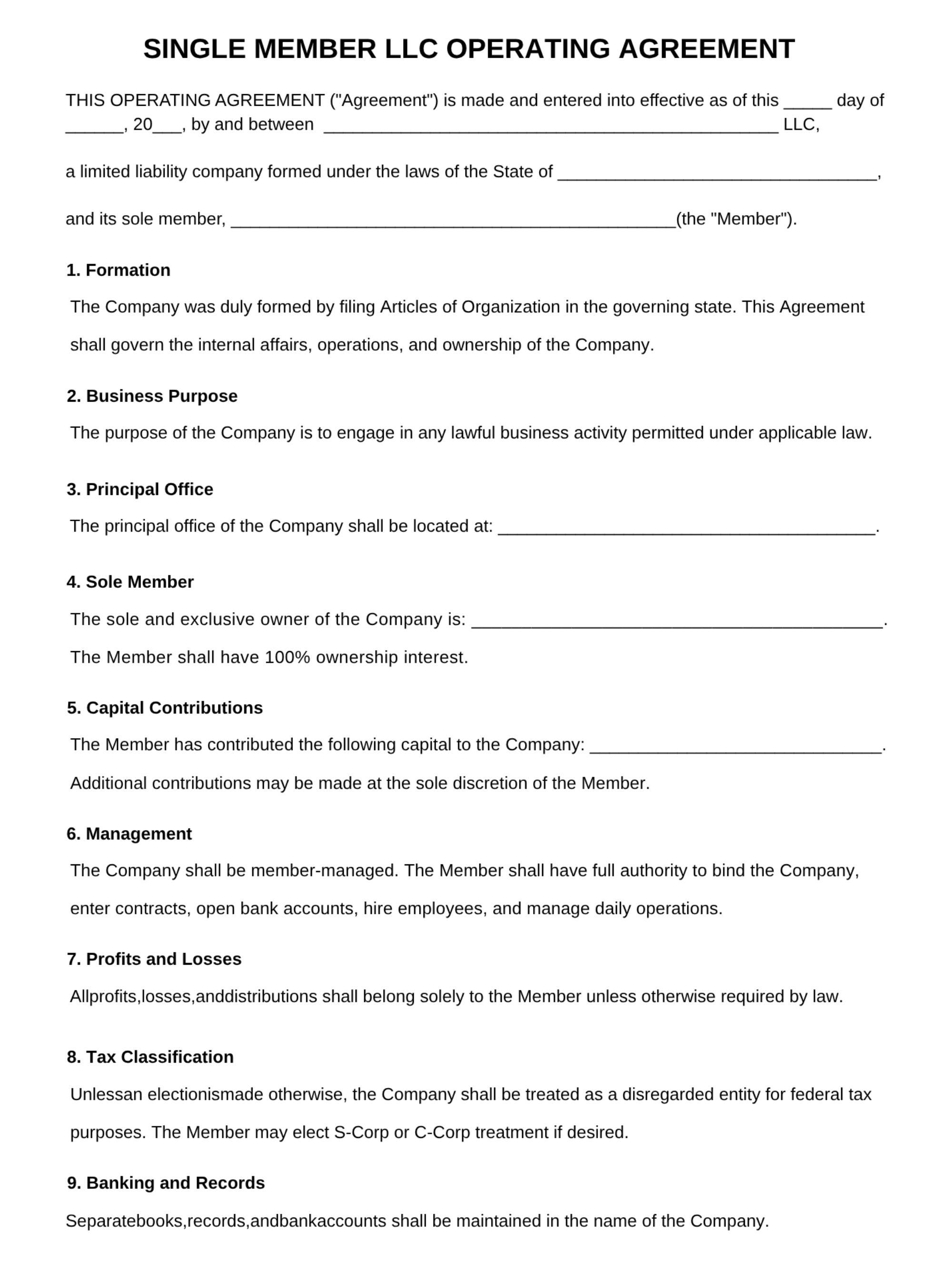 Printable Single Member LLC Operating Agreement, Editable Llc Business ...