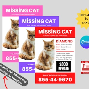 May include: A red, white, and blue missing cat poster with a photo of a brown and white cat. The poster includes the cat's name, Diamond, breed, Exotic Shorthair, color, Golden Brown, collar color, Yellow, and a description of when and where the cat was last seen. The poster also includes a $300 reward and a phone number to call or text with any information.