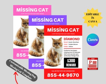 Editable Missing Pet Flyer Template: Lost Dog & Cat Poster (Digital Download)