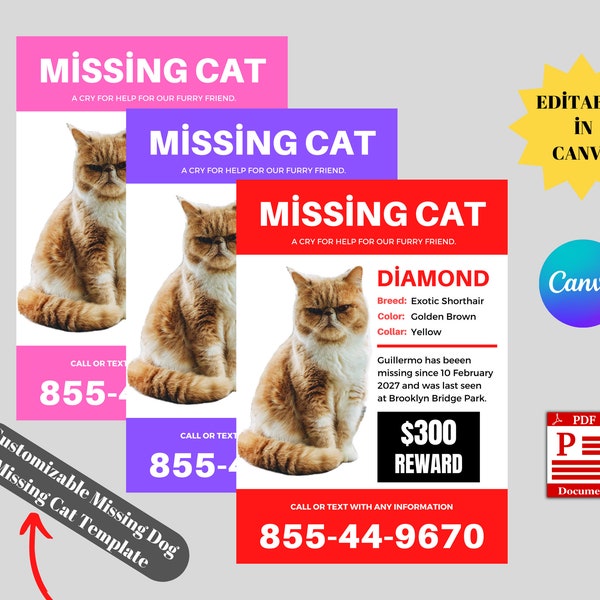 Printable Missing Dog, Missing Cat Template, Editable Missing Dog Flyer, Flyer Template, Lost Pet, Customızable digital download