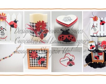 Hello Ladybug Tier Tray Tutorial- PDF ONLY