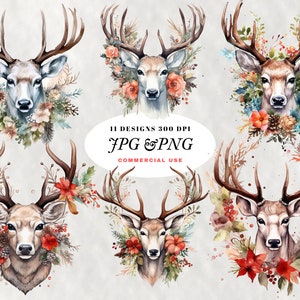 Aquarel Buck Clipart Bundel Herten Bloemen Illustratie PNG en JPG Hoge Resolutie 300 dpi