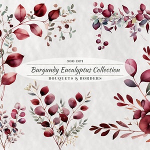WYPRZEDAŻ! Kolekcja Eucalyptus Burgundy, Clipart akwarelowy, 11 unikalnych projektów, PNG, 300 dpi, Użytek komercyjny