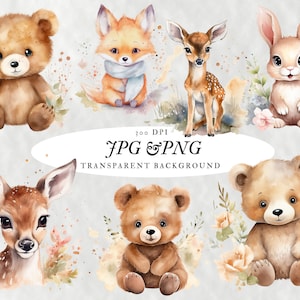 Waldtiere Aquarell Niedliche Kinderzimmer Bundle Clipart 300 DPI Jpg Png Dateien Fester & Transparenter Hintergrund