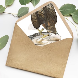 Printable Audubon Envelope Liner - Red-tailed Hawk