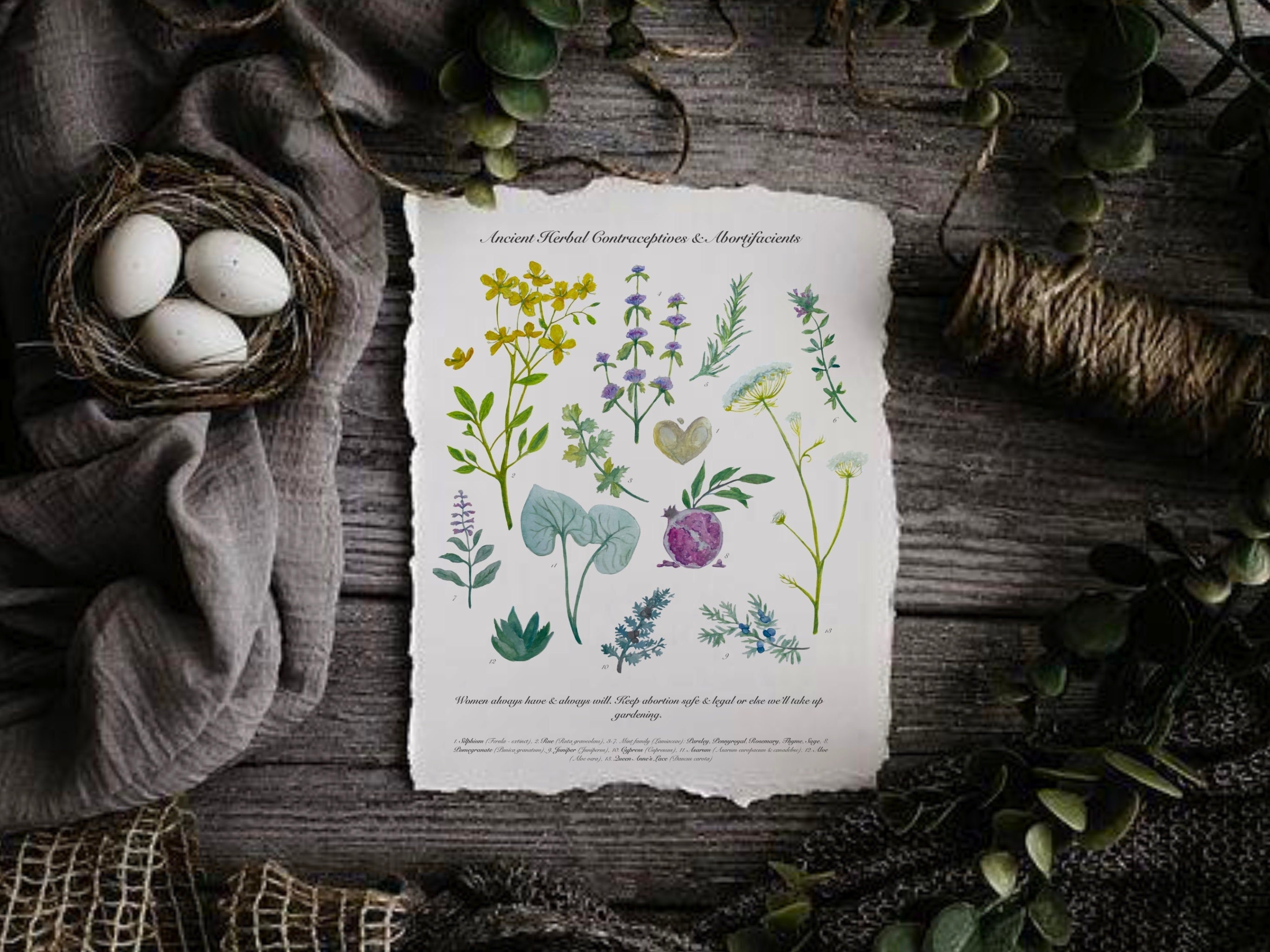 Pro choice poster - Etsy.de, image size:2732x2048