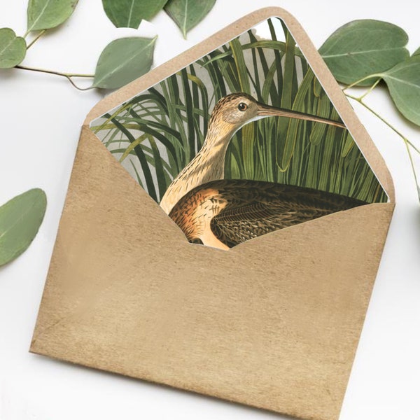 Bedrukbare Audubon Envelop Liner - Langsnavel wulp