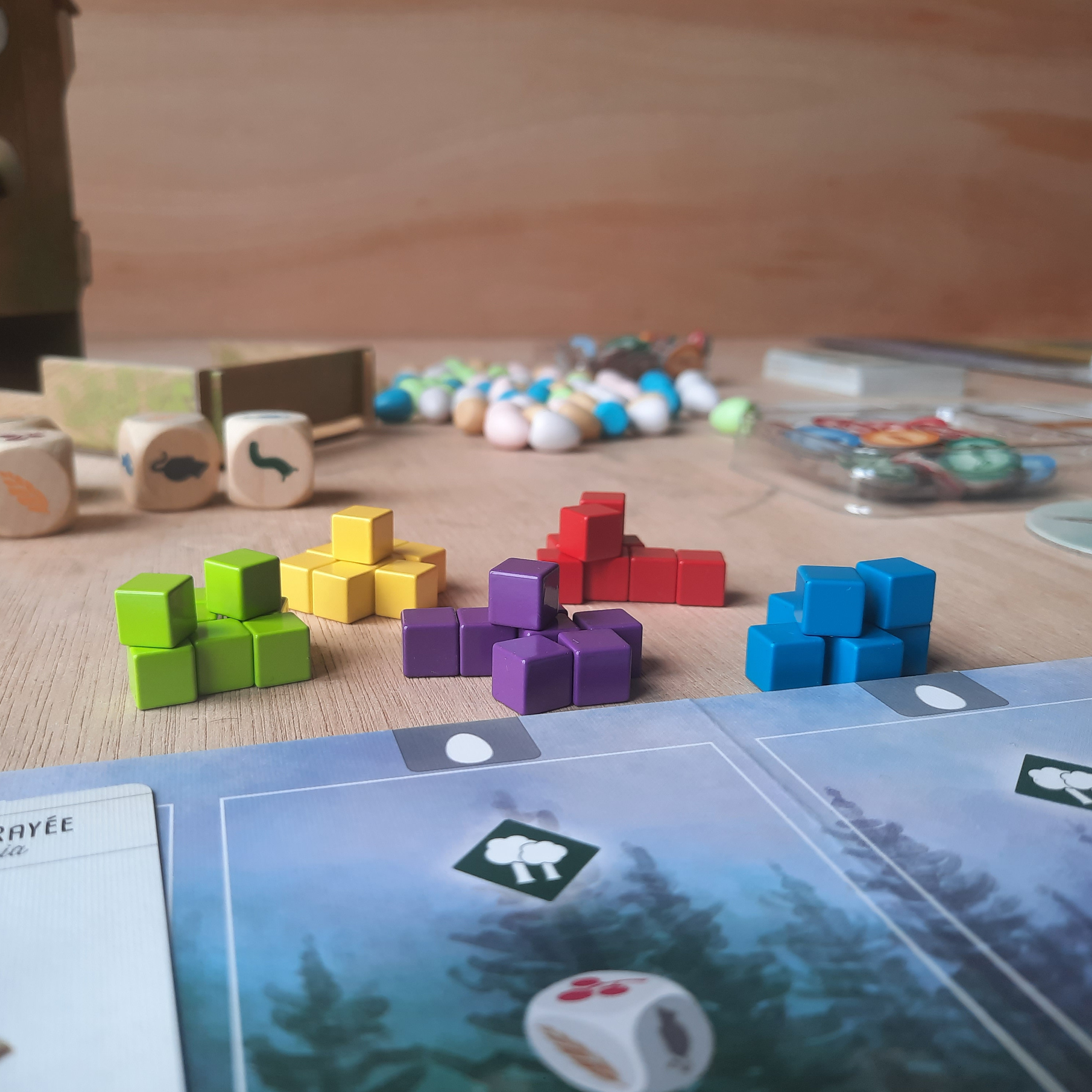 Set of 40 Metal Cubes for Wingspan, 8mm, Same Size and Same Colors as ...