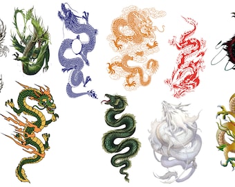 10 Dragon PNG