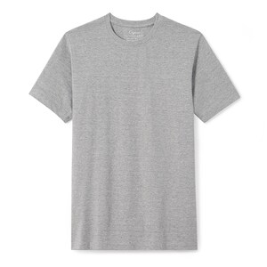 以下が含まれることがあります： クルーネックのグレーの半袖Tシャツです。