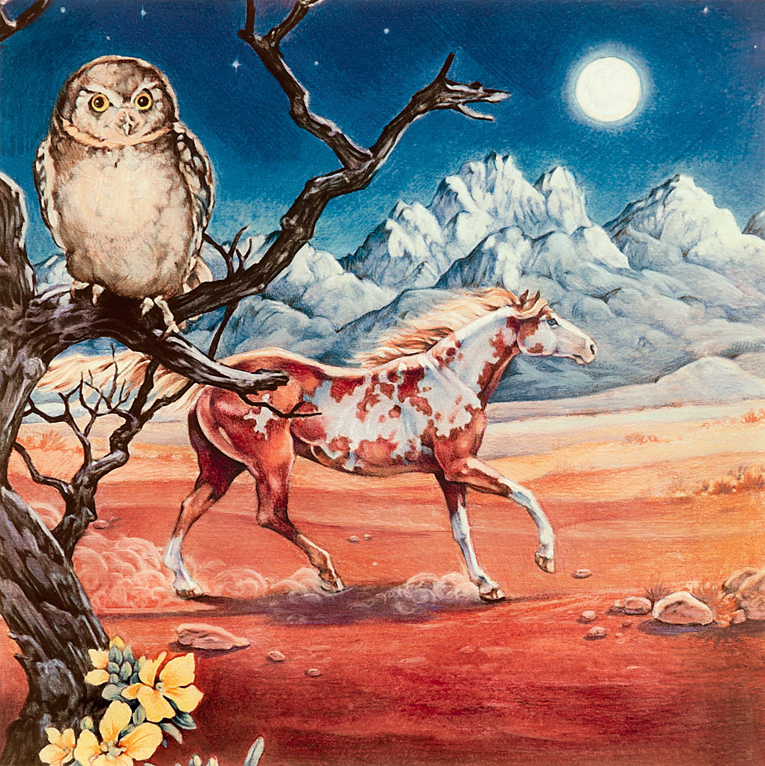 Night of the Elf Owl - Print