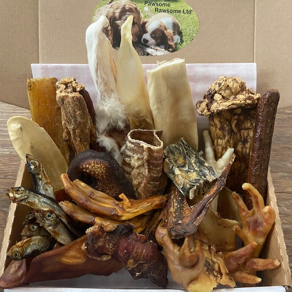 Large Value Treat Box- 21 items. Natural Dog Treats. Dog Birthday. Dog Christmas. Dog Enrichment