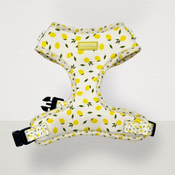 Lemon Dog harness, Adjustable harness, Yellow harness, Lemon print