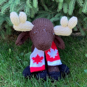 Cuddly Canadian Moose