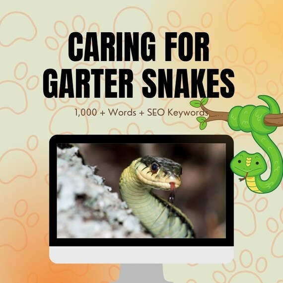 How to Care for Your Pet Garter Snake Pet PLR PLR Blog Etsy
