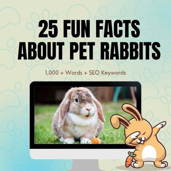 25 Fun Facts About Pet Rabbits Instant Download Digital Etsy Australia