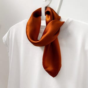 Pu&ograve; includere: Una sciarpa di seta color arancione bruciato drappeggiata su una maglietta bianca su un appendiabiti. La sciarpa ha una consistenza liscia e lucida ed &egrave; annodata in basso. Lo sfondo &egrave; bianco.