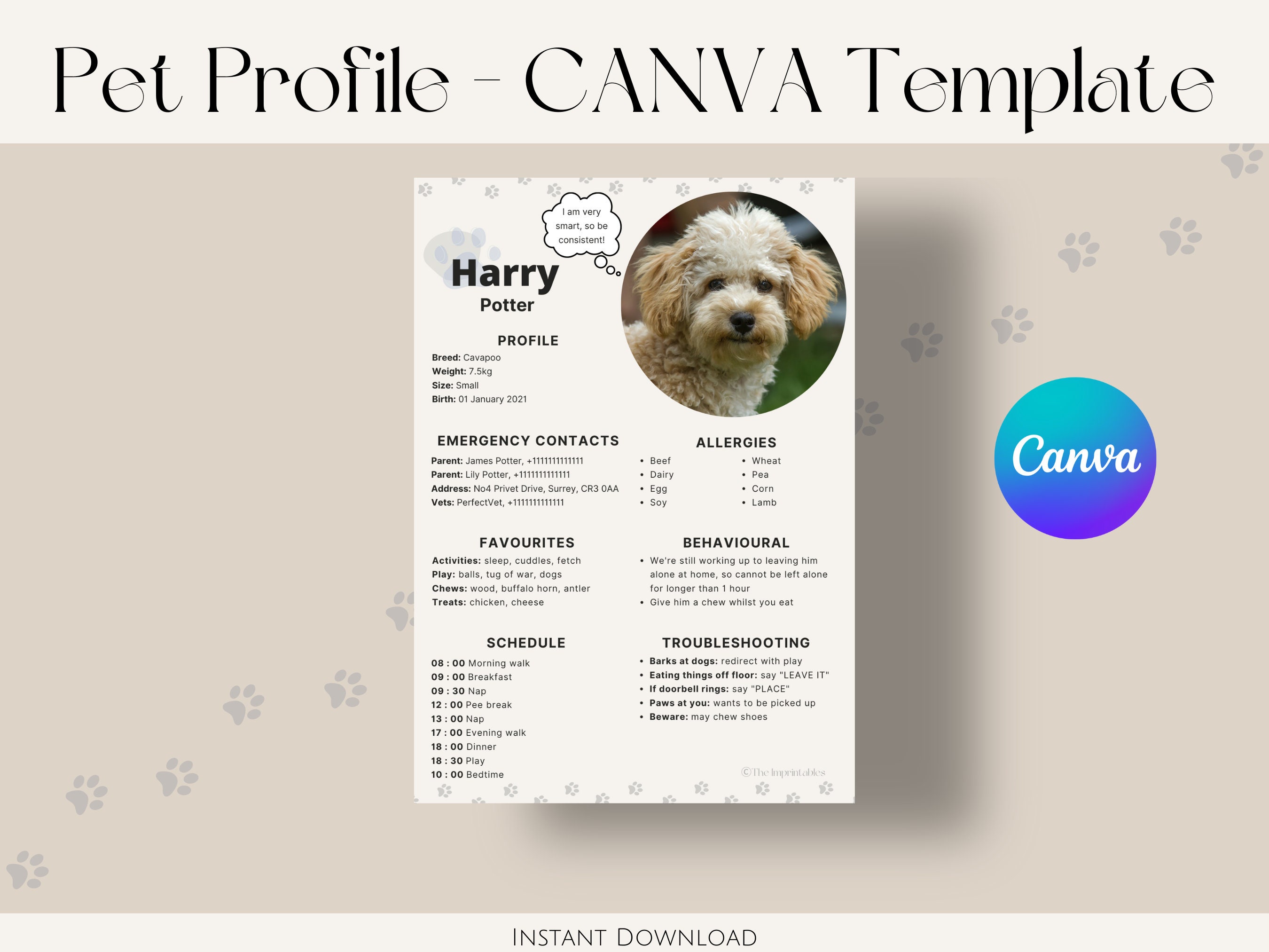 Pet Profile CANVA Template Printable Instant Digital Download Pet Pet Profile CANVA Template Printable Instant Digital Download Pet
