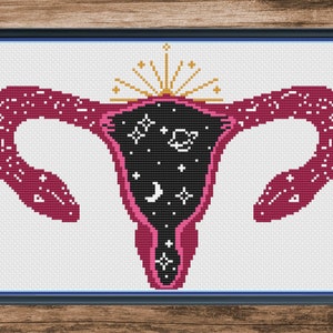 May include: A cross-stitch pattern of a uterus with a galaxy inside. The uterus is pink and the galaxy is black with white stars and a crescent moon.