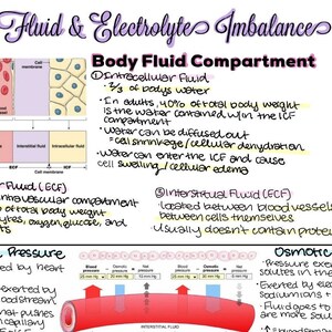 Pathopharm Nursing Notes Electrolyte Imbalances Study Guide - Etsy