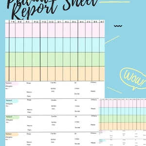 Pediatric Nurse Report Sheet for 4 Patients, Pediatrics Nurse Brain, Peds Nurse, Day & Night Shift, Patient Reporting, PDF