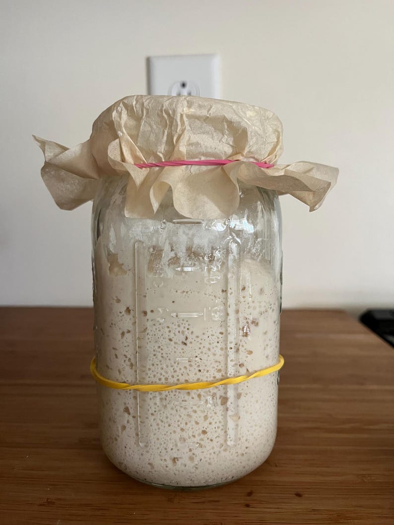 georgia the gluten free sourdough starter image 2