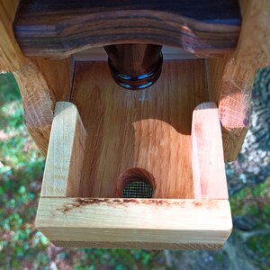 Guinness Beer Bottle Easy Fill Bird Feeder imagem 4