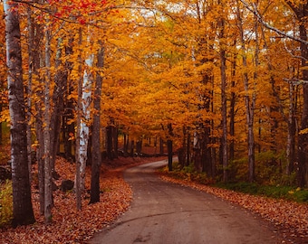 Foliage road Vermont outside of Woodstock VT landscape photographic print