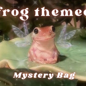 Frog Themed Mystery Bag, Cottagecore, Fairycore, Goblincore Gift Box