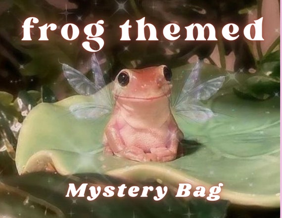 Frog Themed Mystery Bag, Cottagecore, Fairycore, Goblincore Gift Box