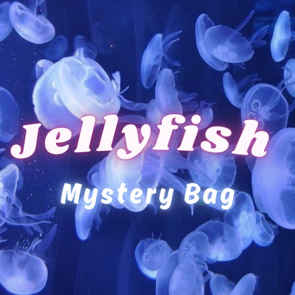 Jellyfish Mystery Bag, Aesthetic Jewelry Mystery Box, Jellyfish necklace, Jellyfish earrings