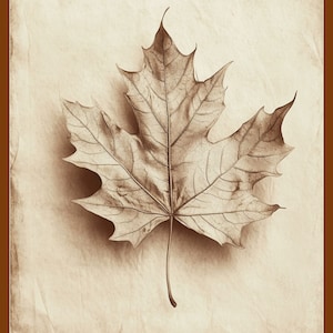 Vintage Maple Leaf Art Print, Neutral Rustic Autumn Print, Sepia-Toned Halloween Decor, Fall Print, Maple Leaf Drawing, Printable Wall Art