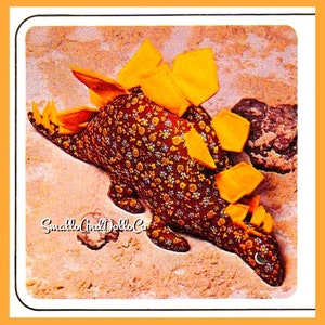 May include: A brown and orange fabric dinosaur with a floral pattern and orange spikes. The dinosaur is lying on a sandy surface. The text "Small and Dolls Co." is visible in the lower left corner of the image.