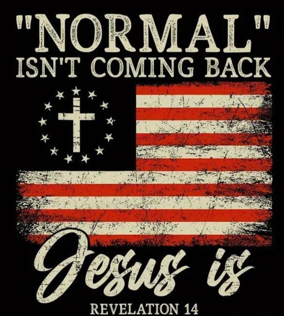 Normal Isn't Coming Back, Jesus is with Flag