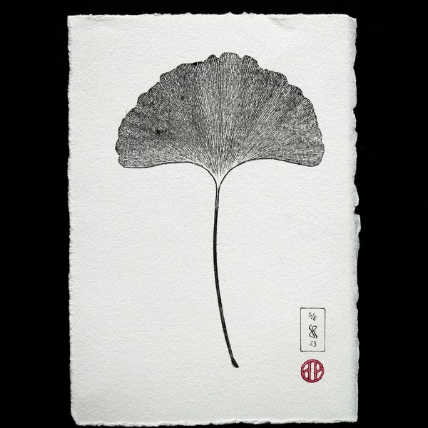 Estampe Naturelle, Impression de Gingko Biloba, Impression de Feuilles & Fleurs, Impression Nature, Art minimaliste